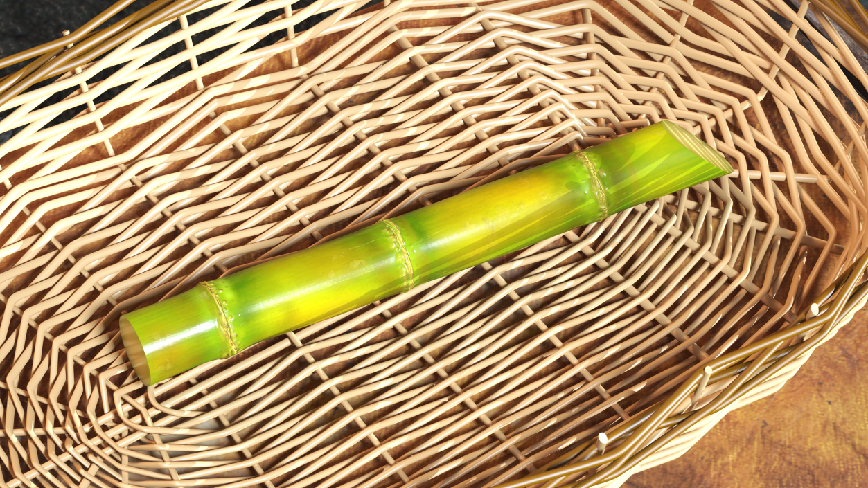 3D Sugar Cane Stick