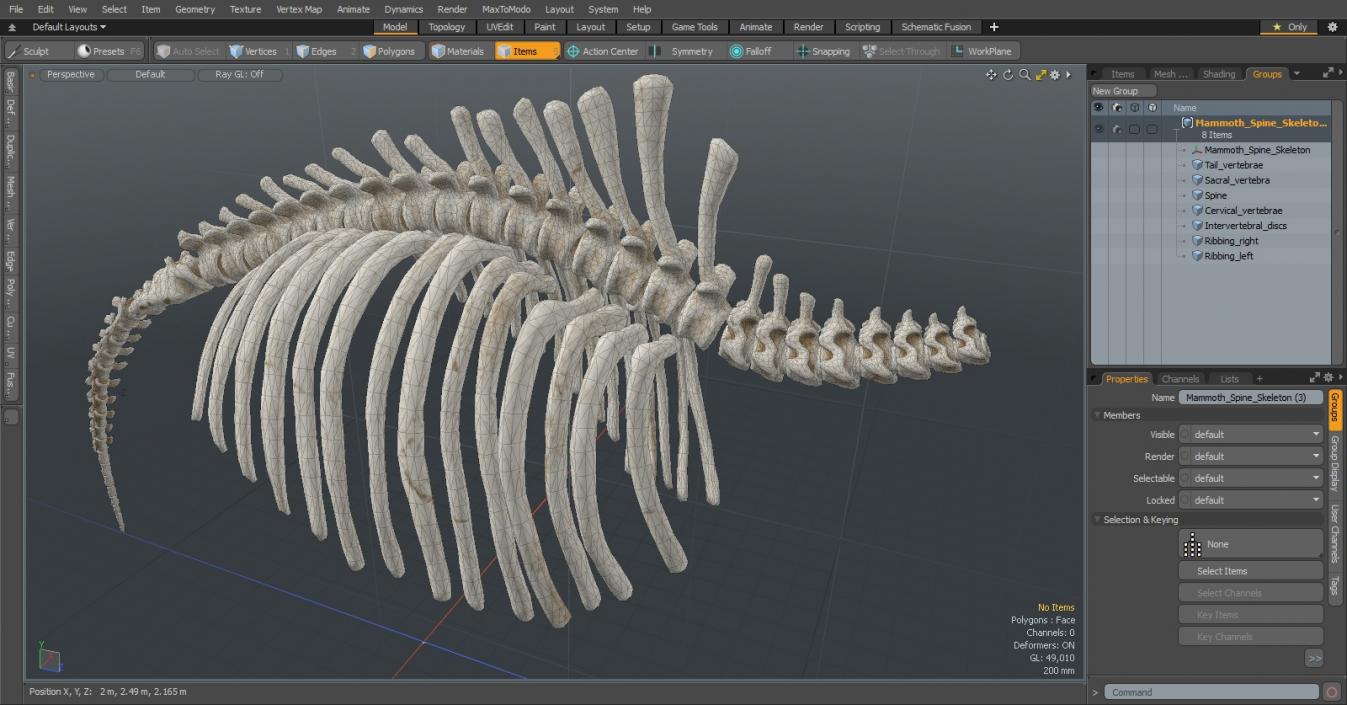 Mammoth Spine Skeleton 3D