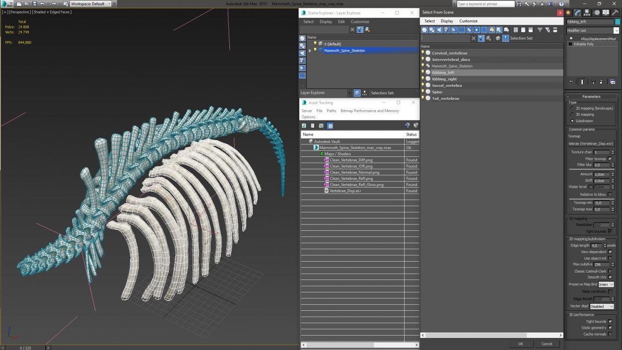 Mammoth Spine Skeleton 3D