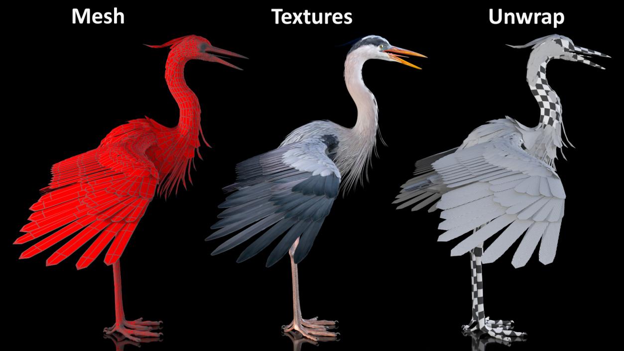 3D model Rigged Birds Collection 4