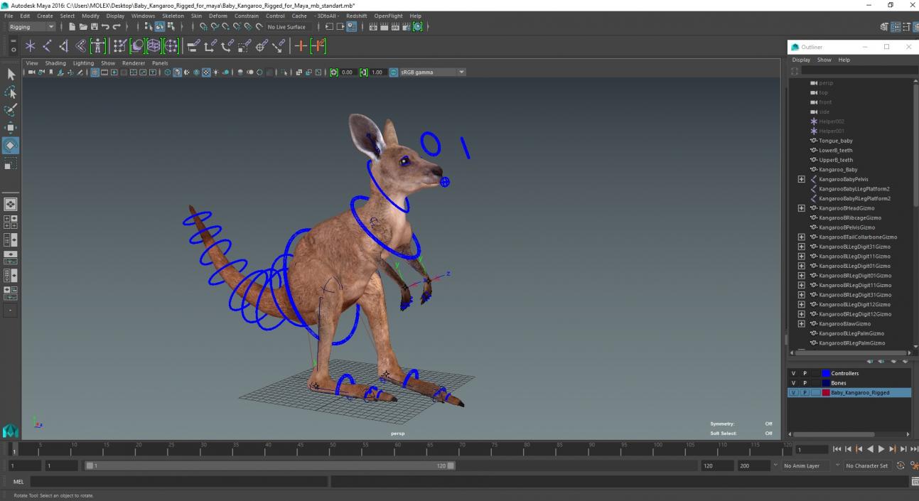 Baby Kangaroo Rigged for Maya 3D model