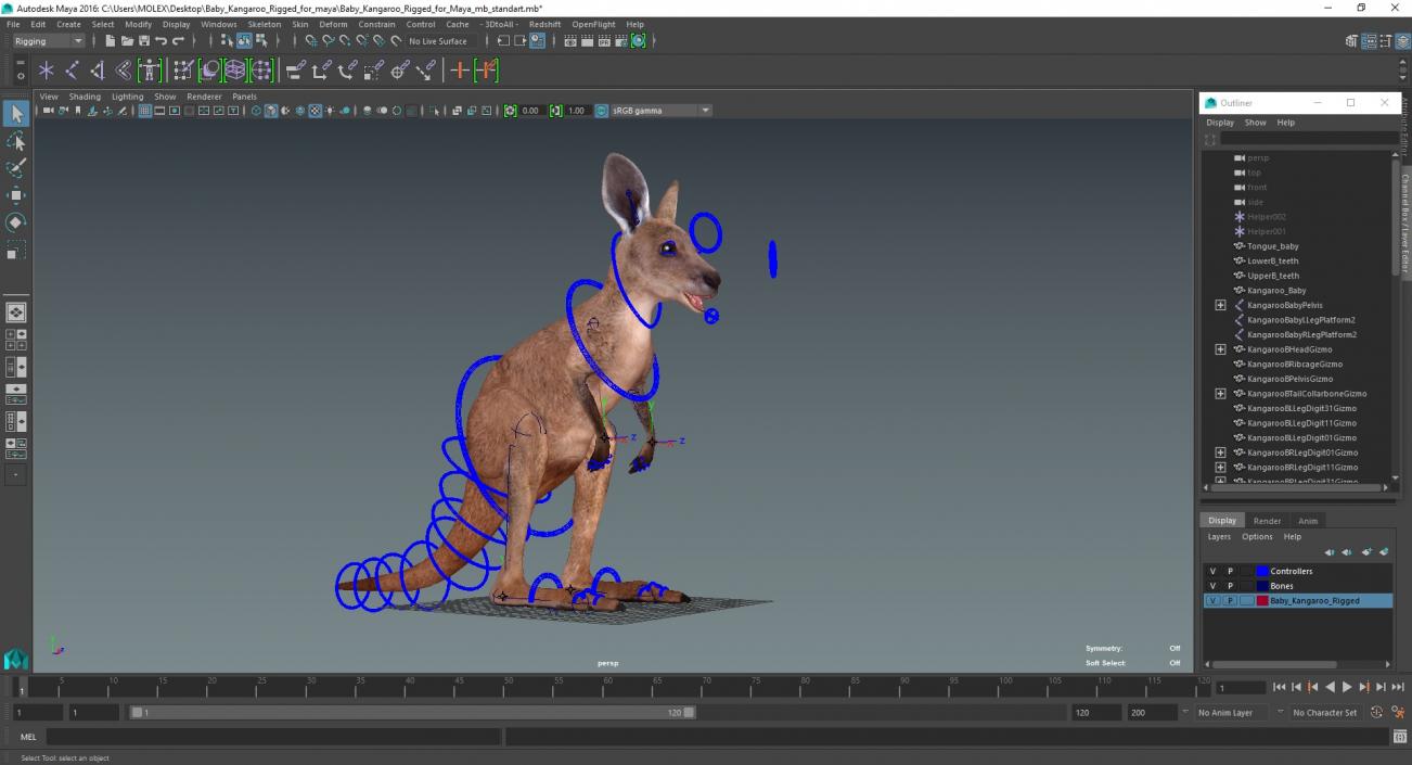 Baby Kangaroo Rigged for Maya 3D model