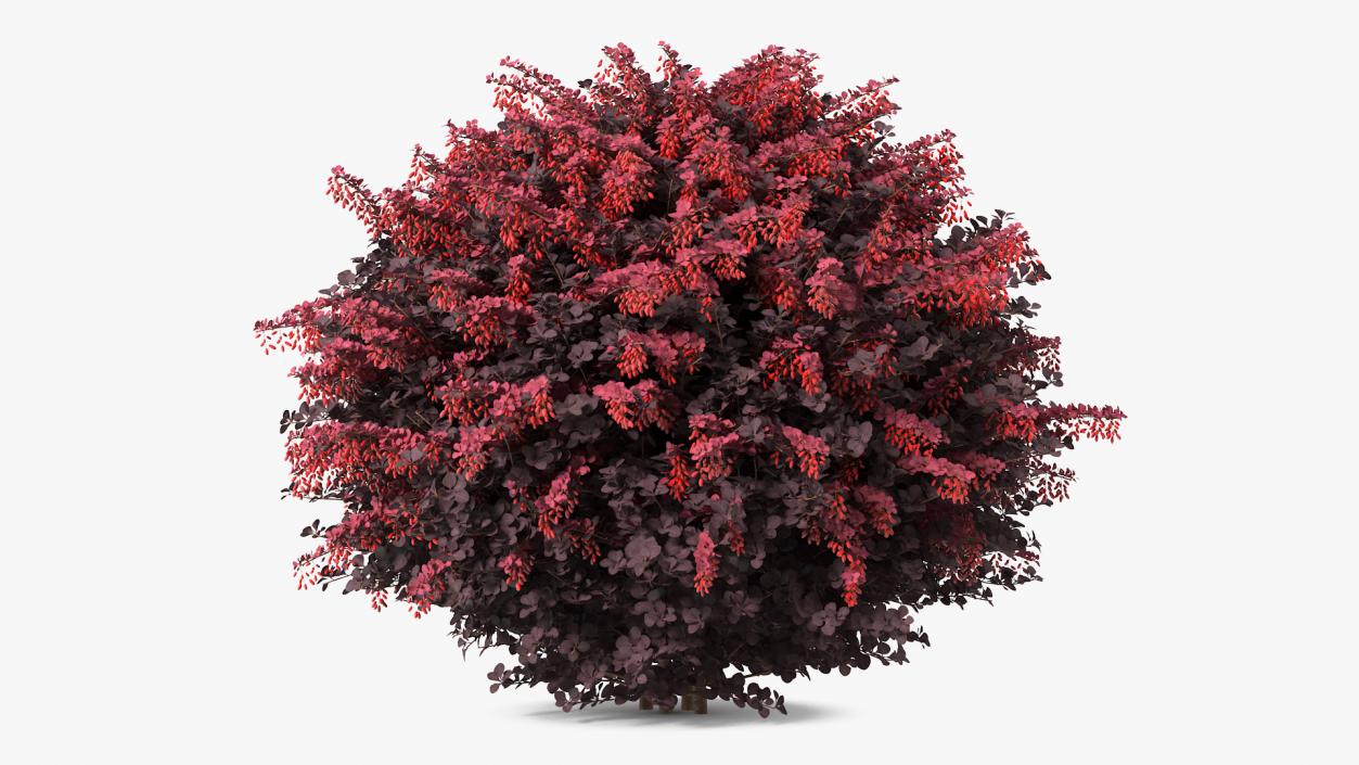 Bushes Collection 7 3D model