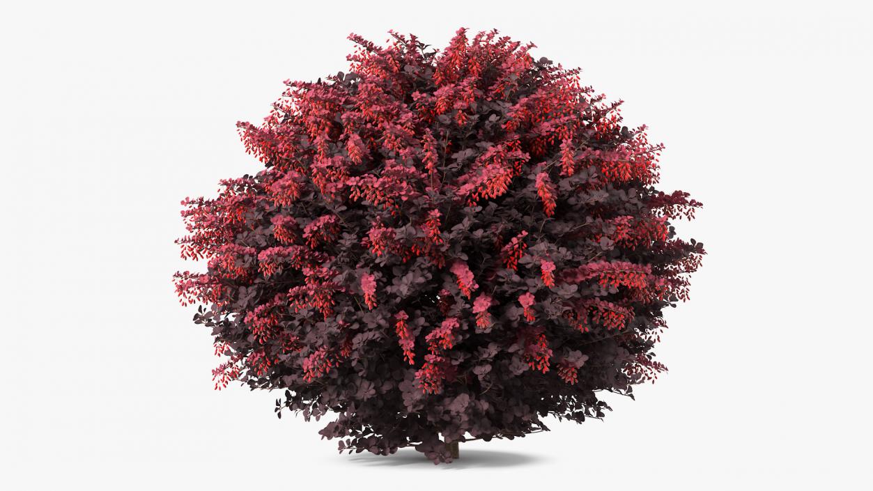 Bushes Collection 7 3D model