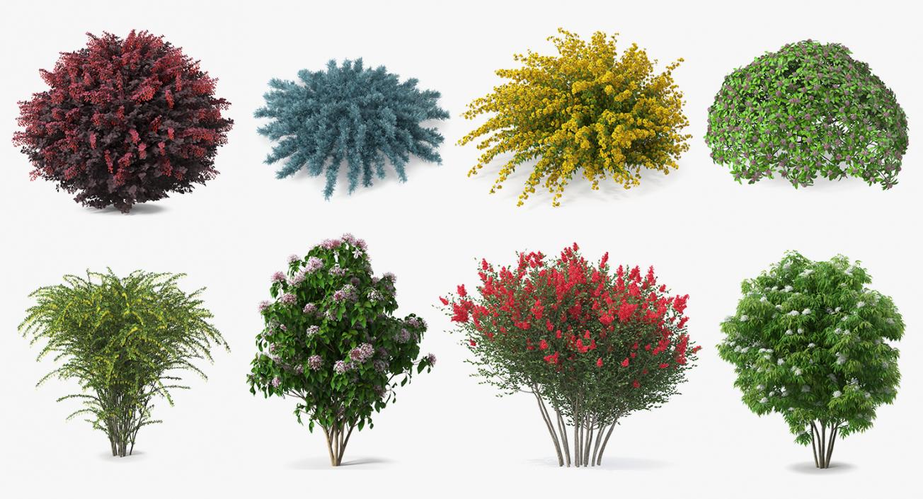 Bushes Collection 7 3D model