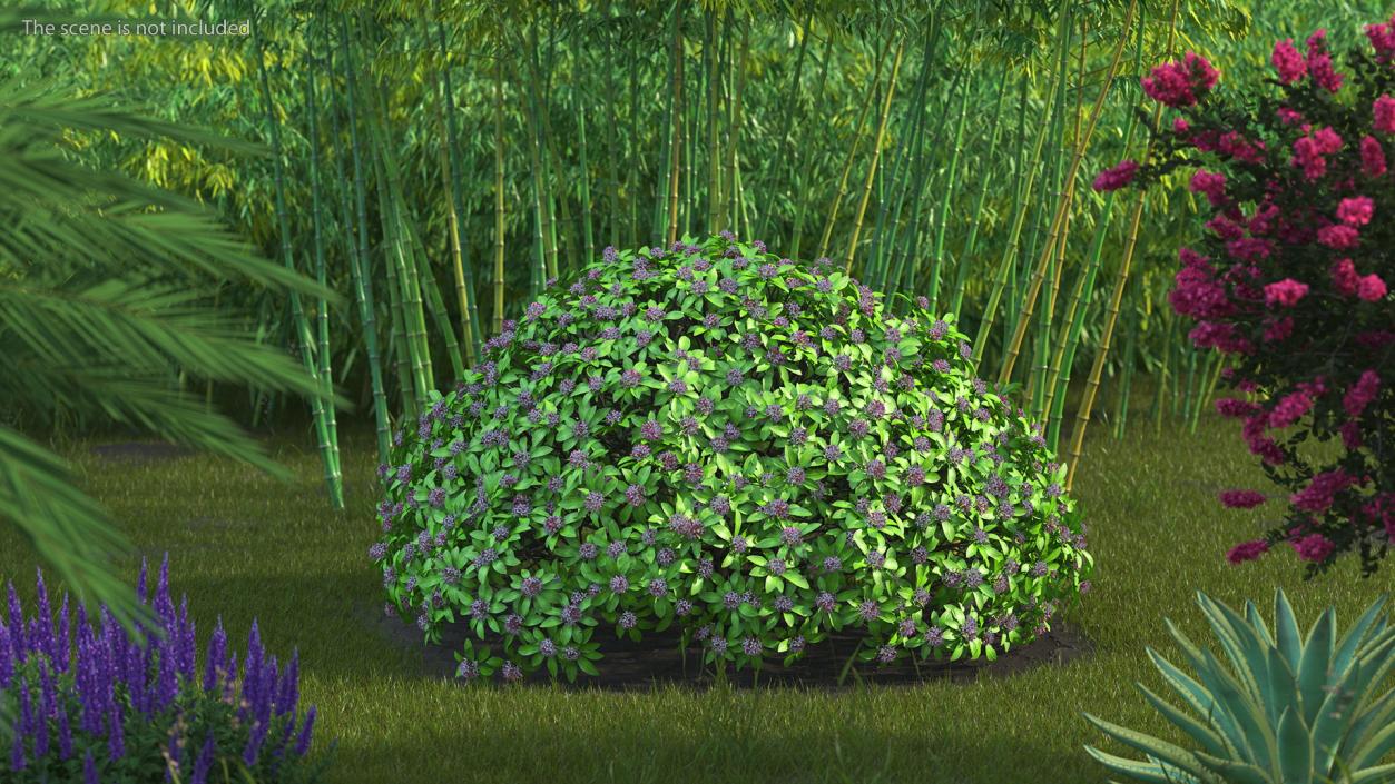 Bushes Collection 7 3D model