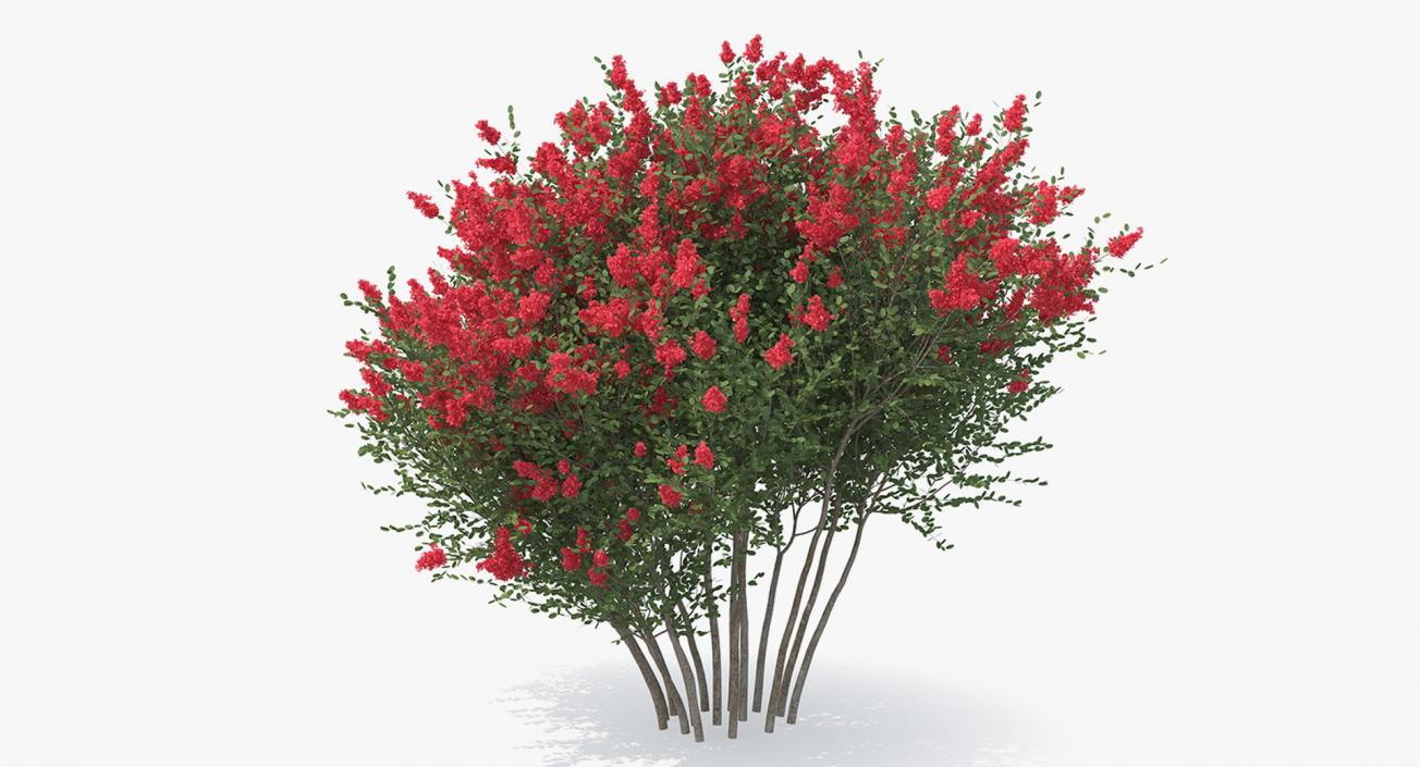 Bushes Collection 7 3D model