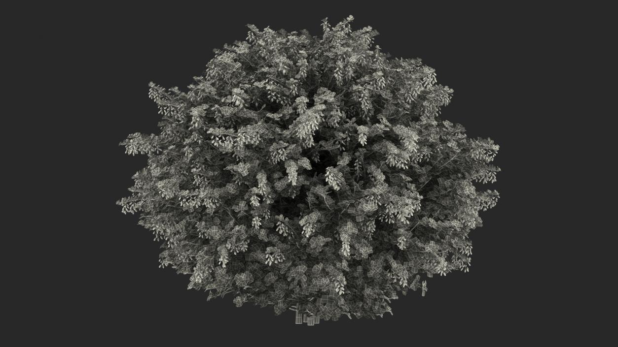 Bushes Collection 7 3D model