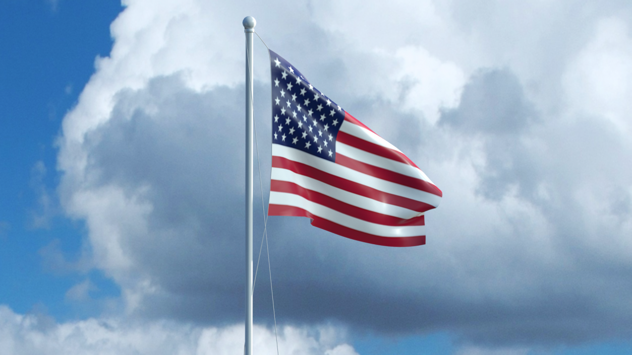 USA Flag on Small Flagpole(1) 3D model