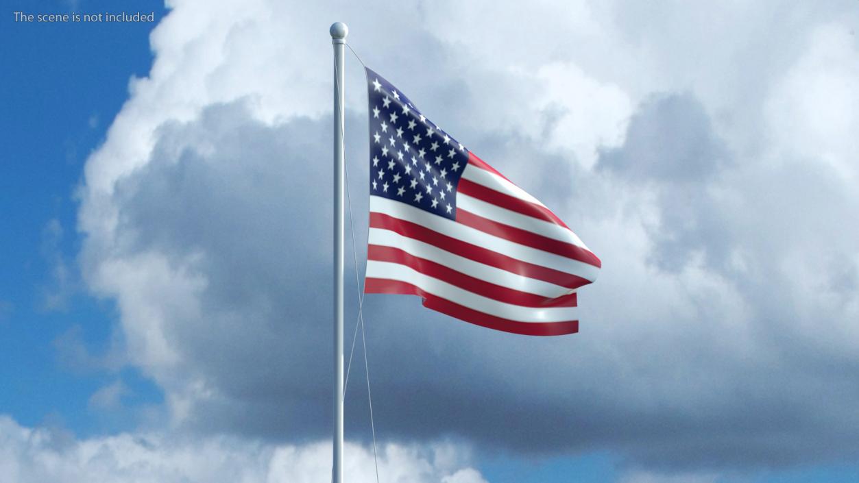 USA Flag on Small Flagpole(1) 3D model