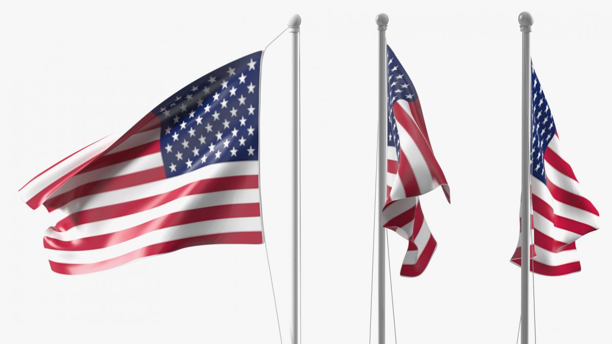 USA Flag on Small Flagpole(1) 3D model