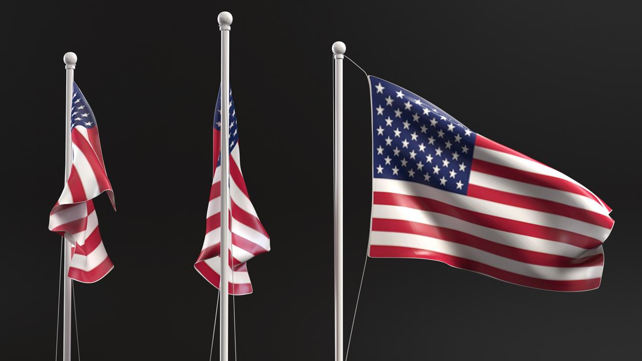 USA Flag on Small Flagpole(1) 3D model