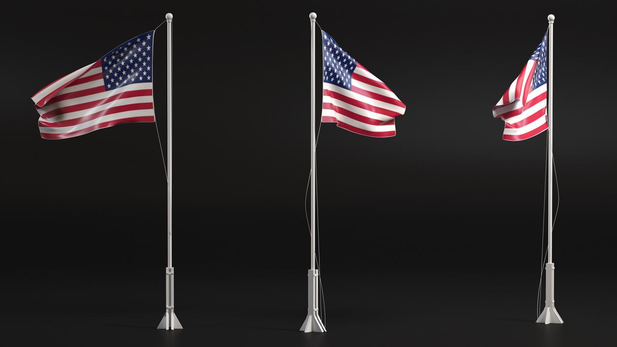 USA Flag on Small Flagpole(1) 3D model