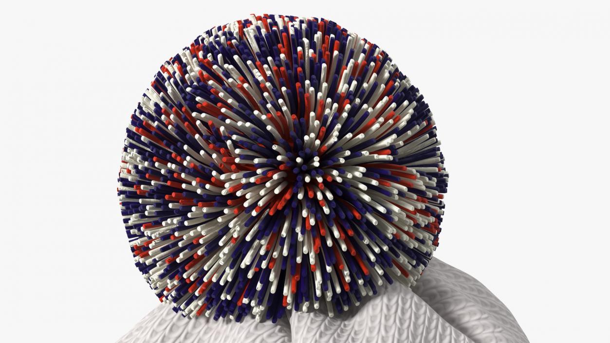 Winter Hats Collection 2 3D model