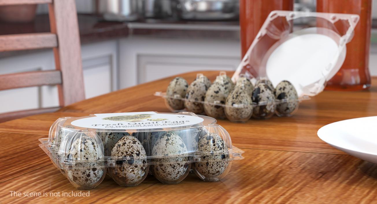 Quail Eggs Plastic Box 3D