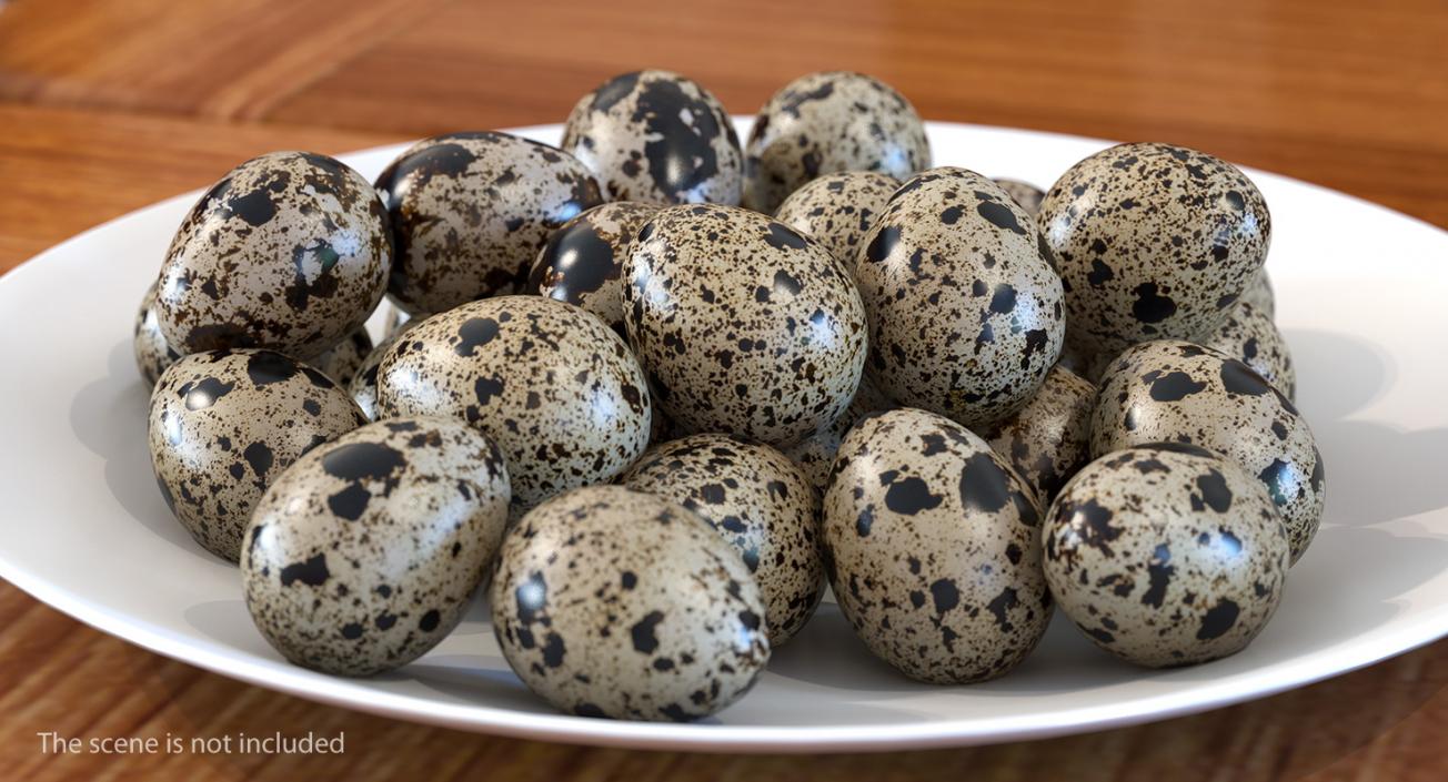 Quail Eggs Plastic Box 3D