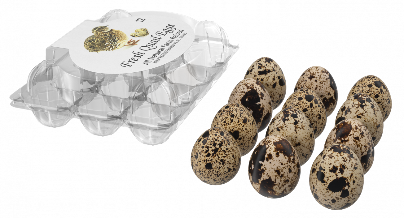 Quail Eggs Plastic Box 3D