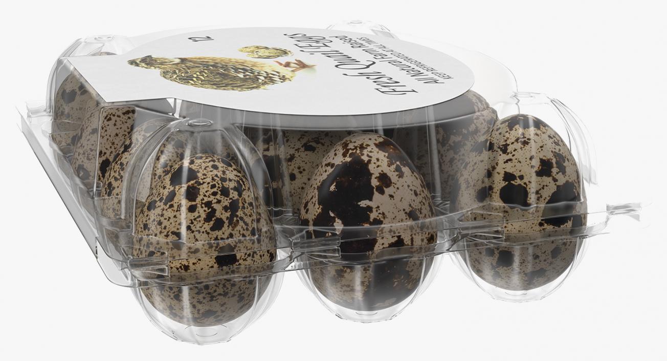 Quail Eggs Plastic Box 3D