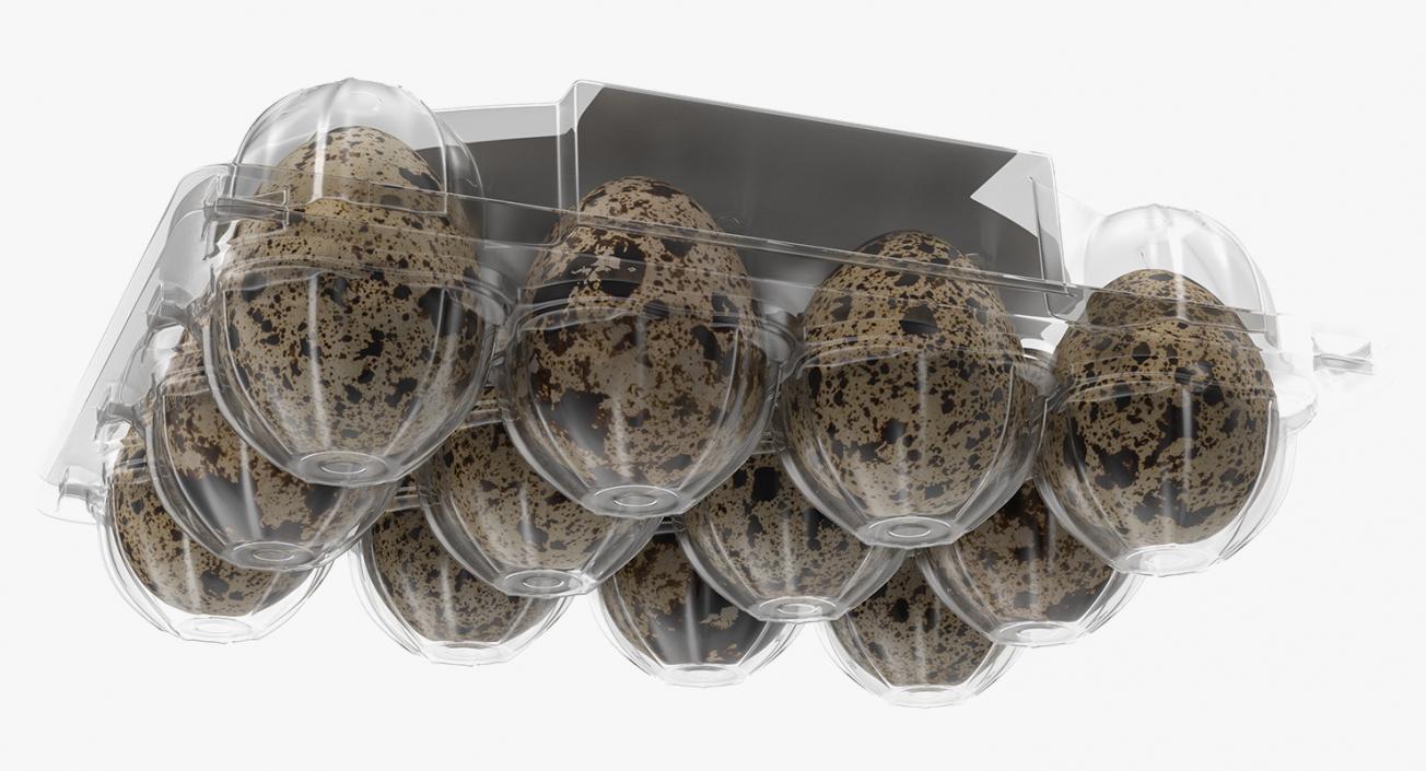 Quail Eggs Plastic Box 3D