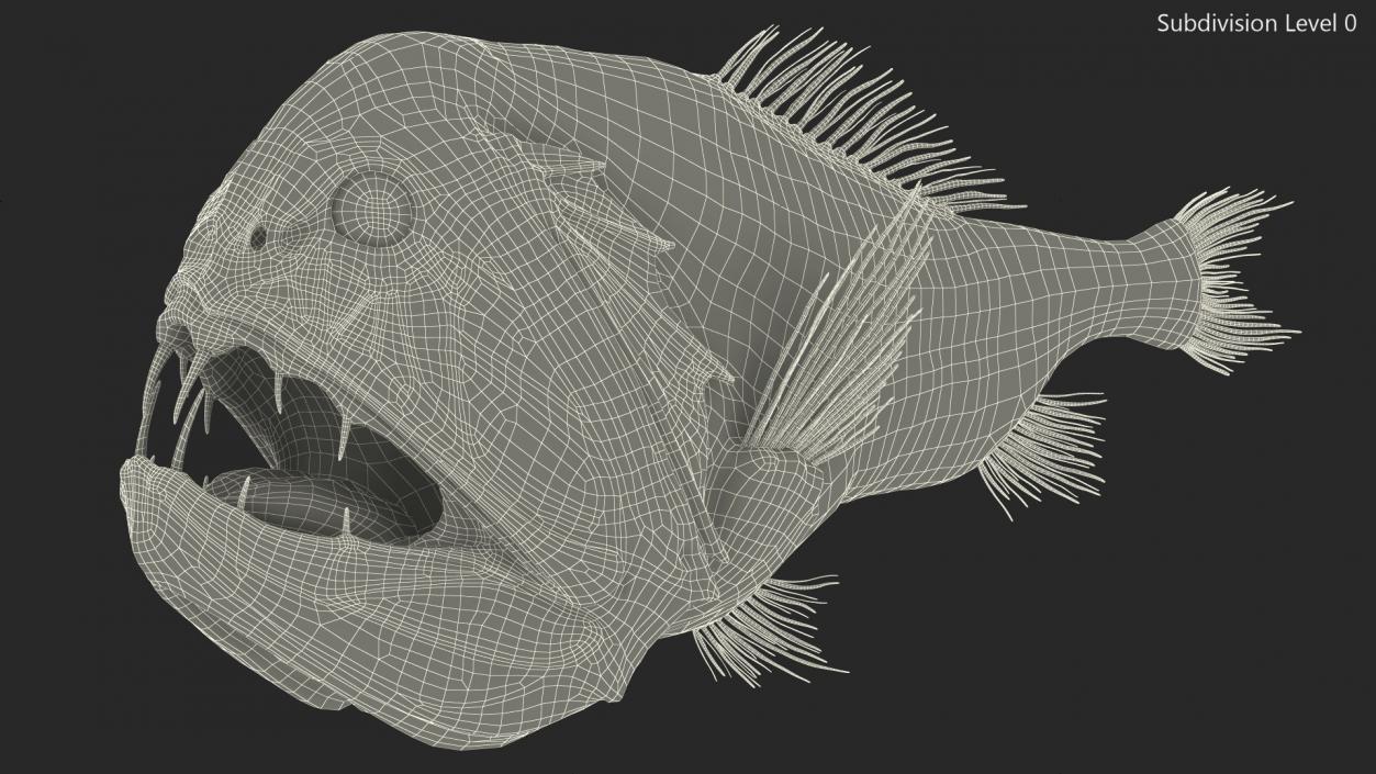 3D model Fangtooth Fish Anoplogaster Cornuta