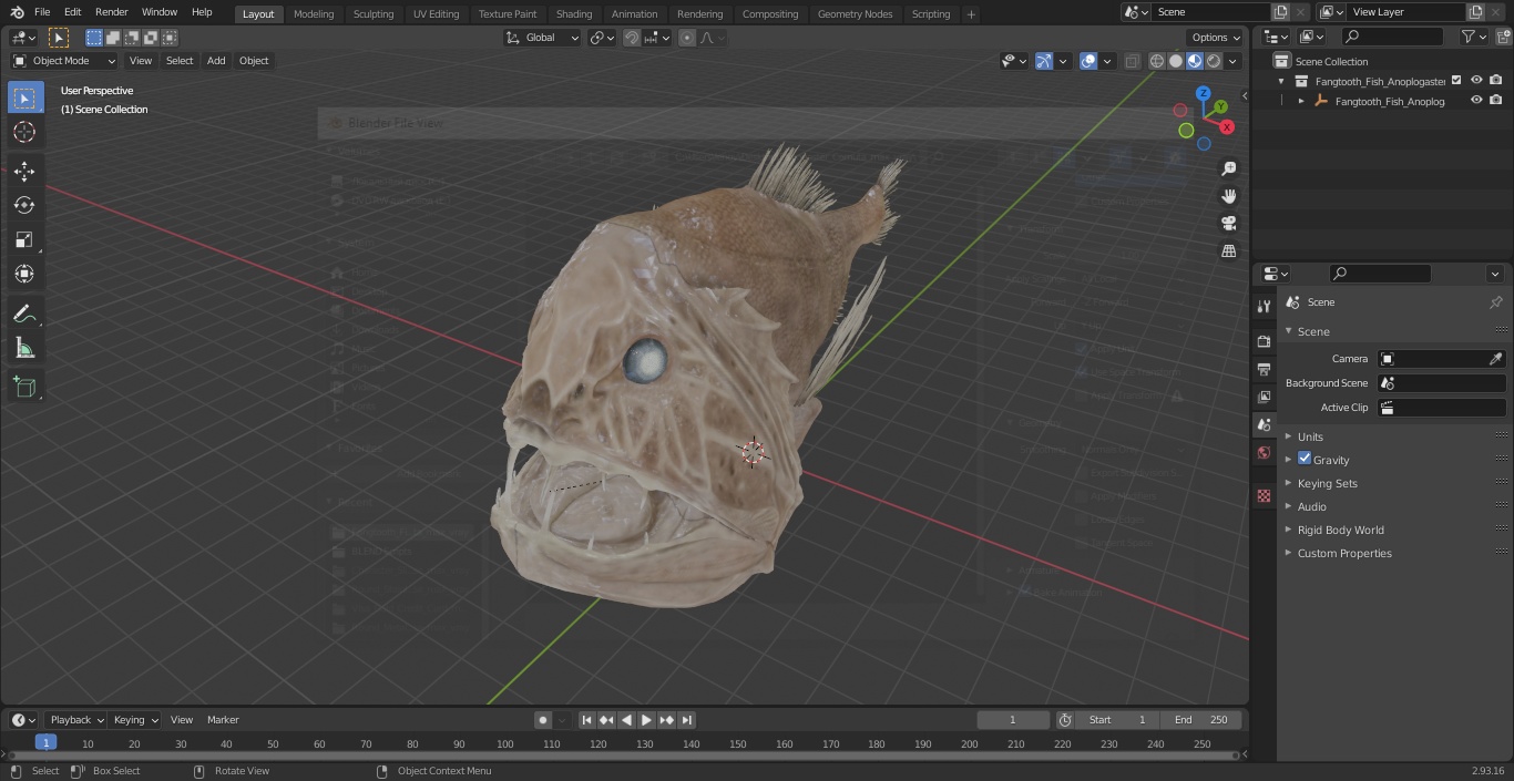 3D model Fangtooth Fish Anoplogaster Cornuta