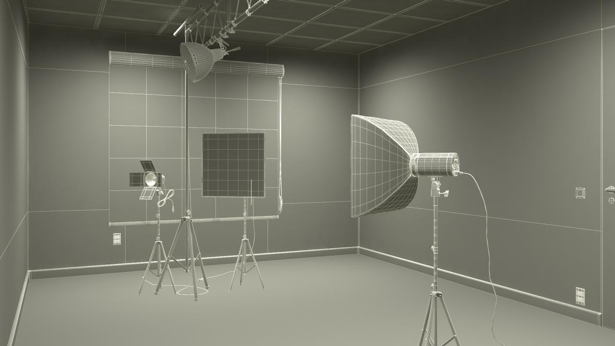 Professional Photo Studio Set Up 3D