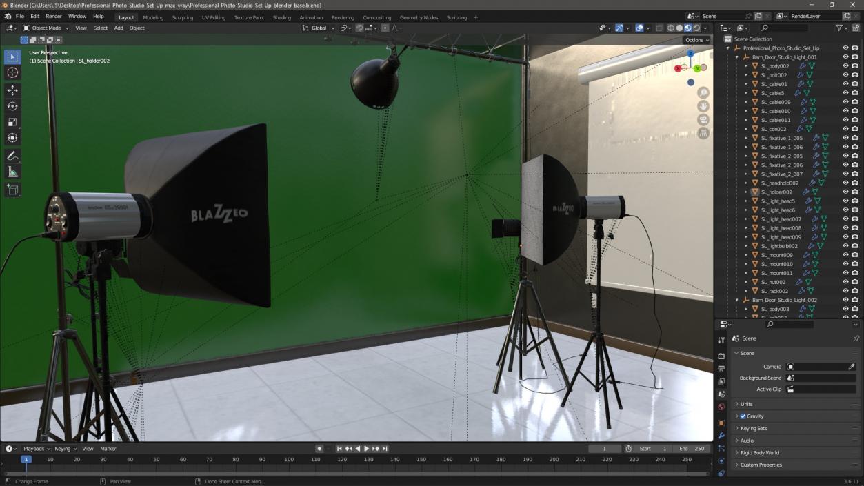 Professional Photo Studio Set Up 3D