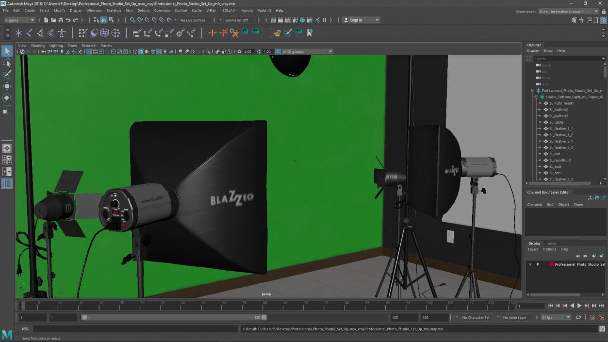 Professional Photo Studio Set Up 3D