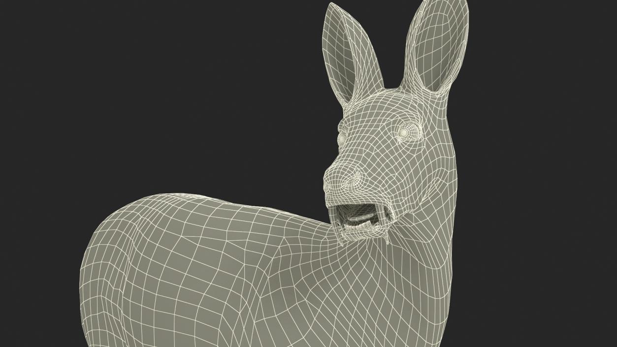 3D model Siberian Musk Deer Rigged