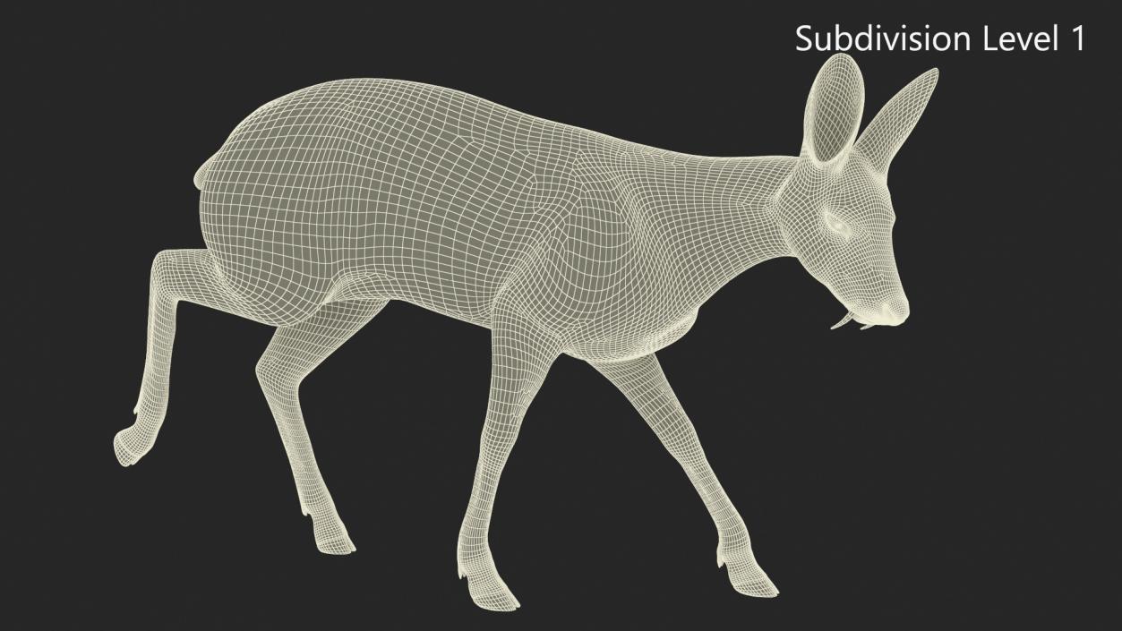 3D model Siberian Musk Deer Rigged