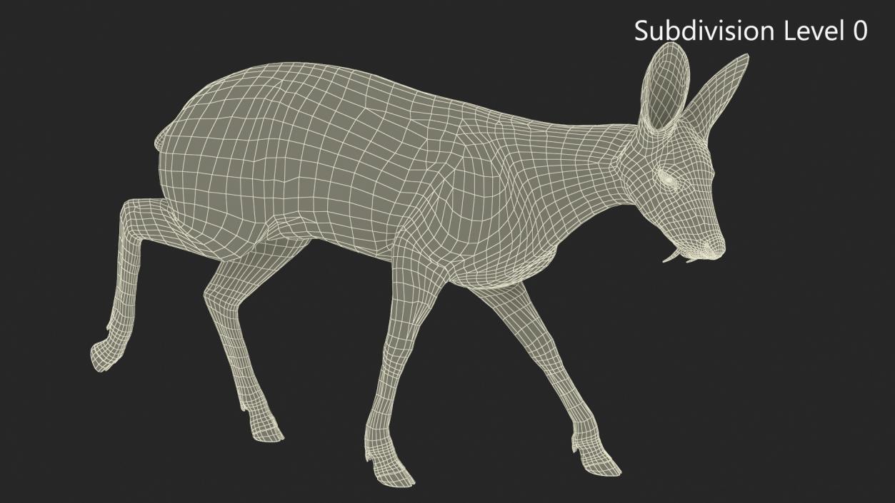 3D model Siberian Musk Deer Rigged