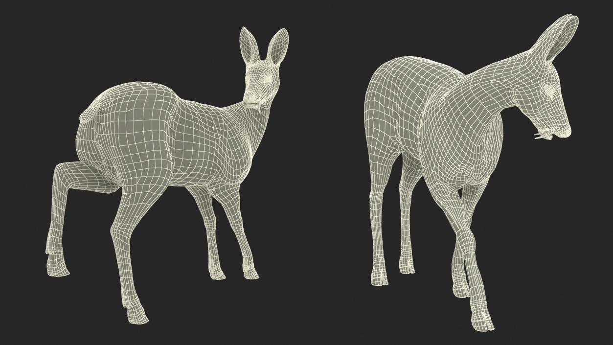 3D model Siberian Musk Deer Rigged