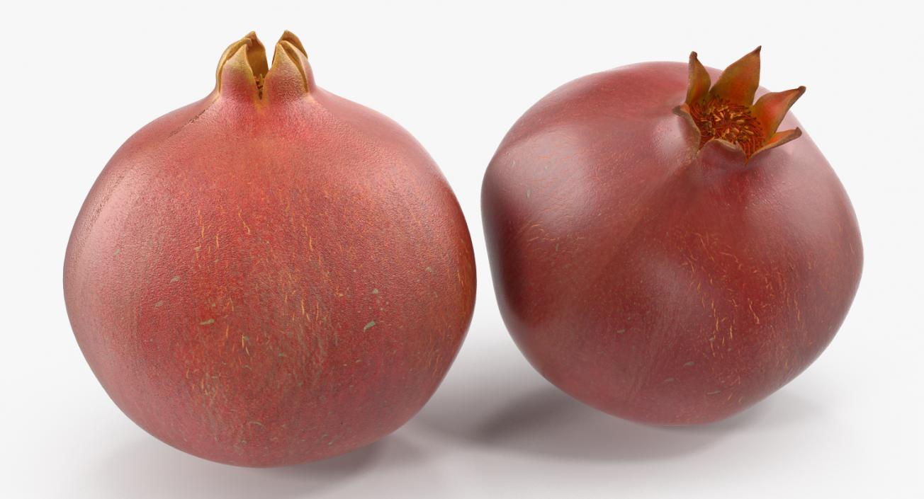 Pomegranate Collection 2 3D model