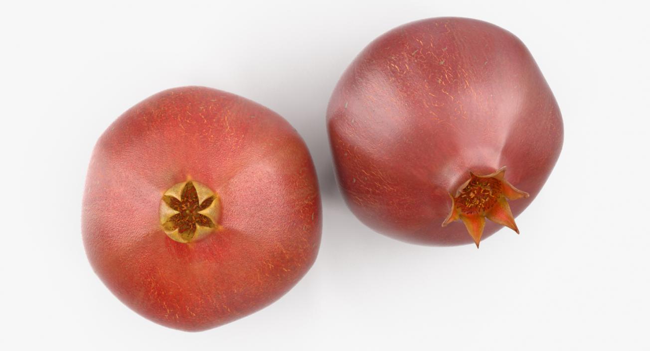 Pomegranate Collection 2 3D model