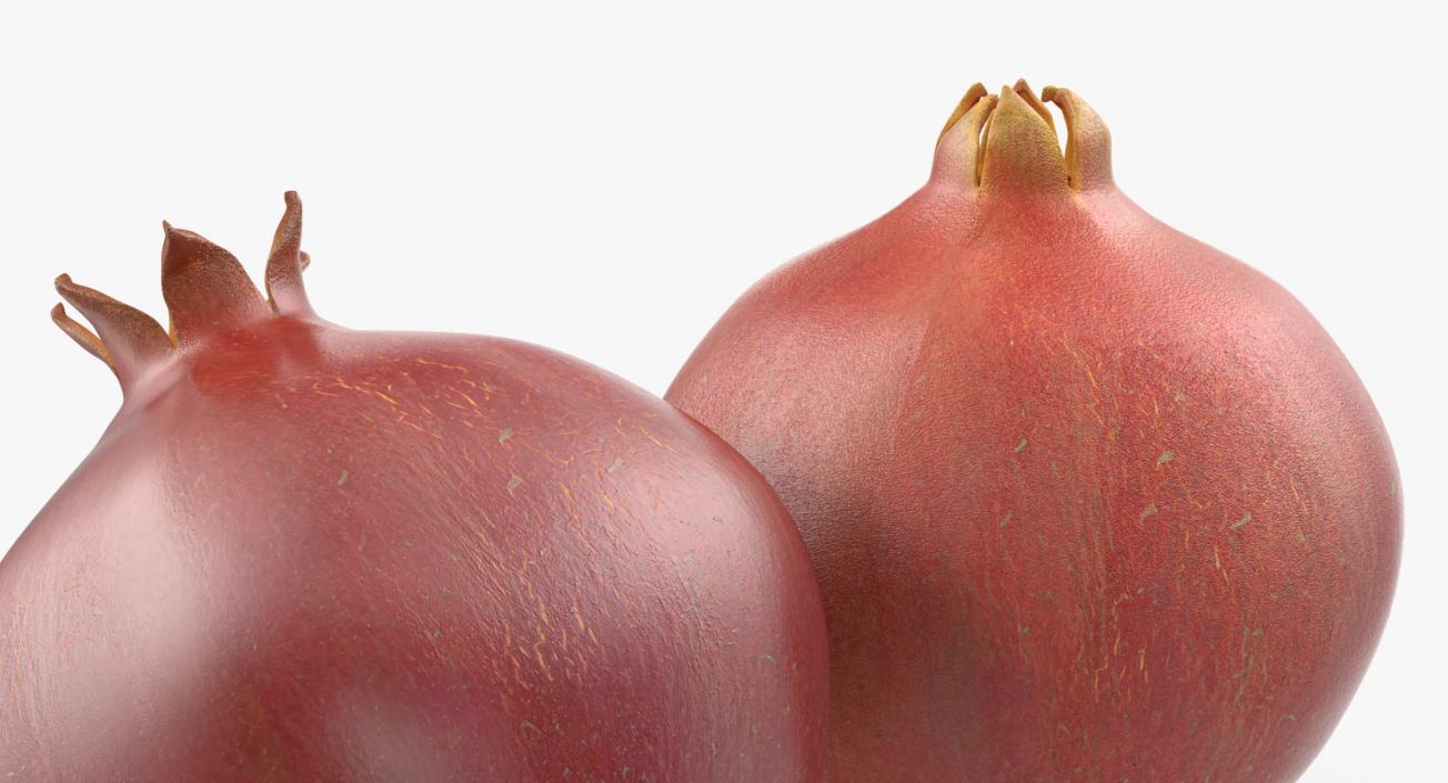 Pomegranate Collection 2 3D model