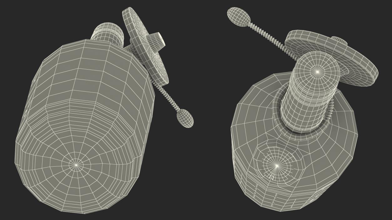 3D Hennessy VS Cognac with Anti Theft Tag model