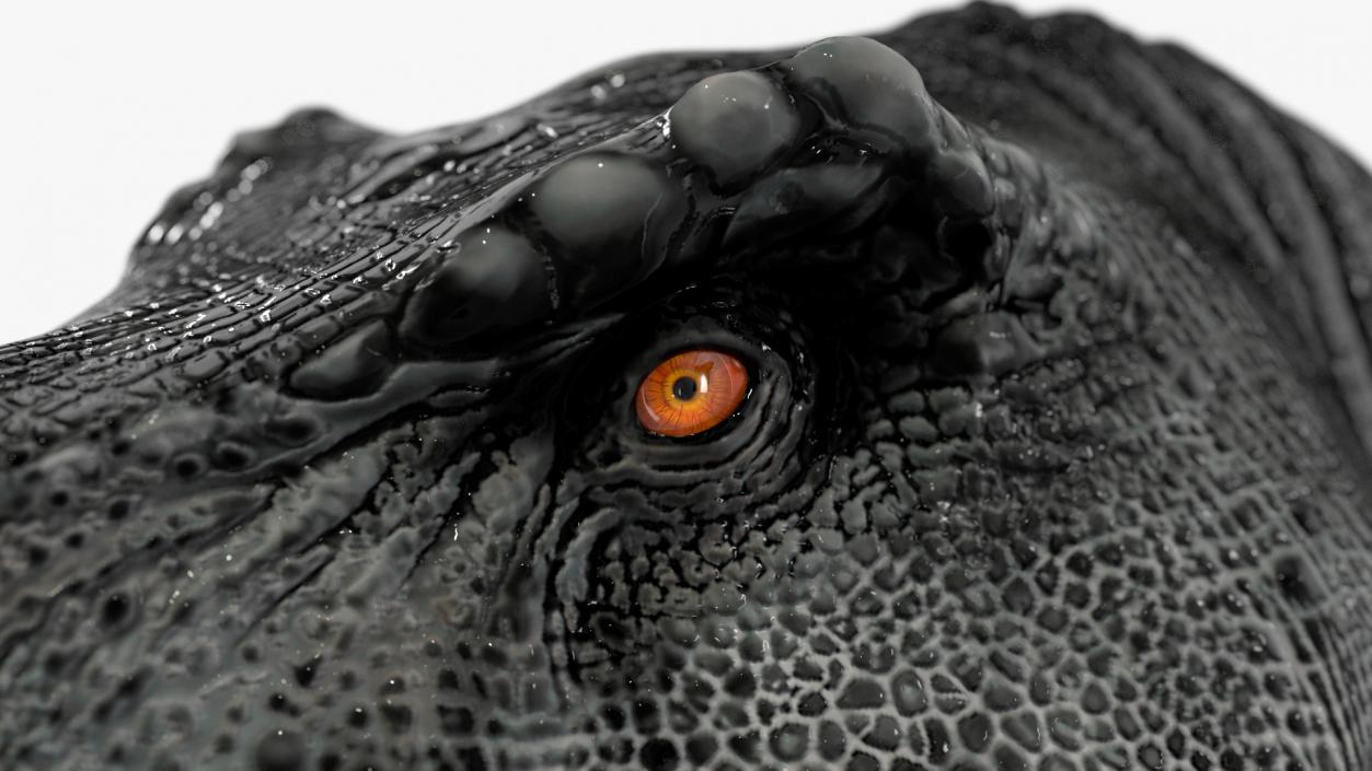 3D T Rex Rigged for Cinema 4D