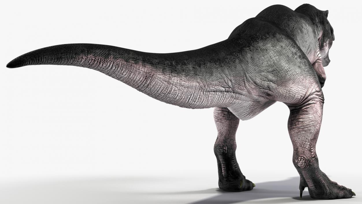 3D T Rex Rigged for Cinema 4D