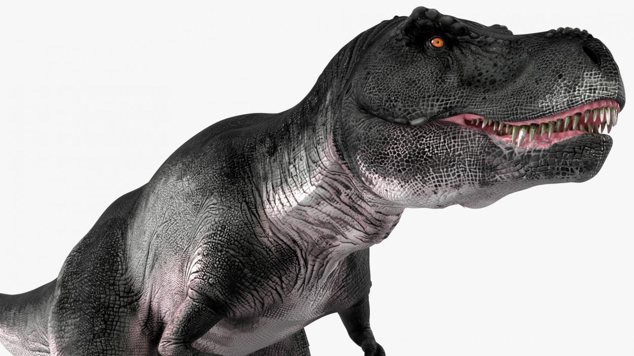 3D T Rex Rigged for Cinema 4D