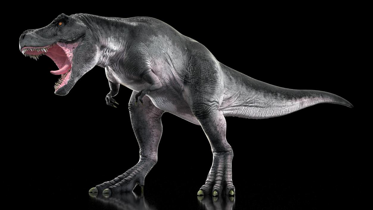 3D T Rex Rigged for Cinema 4D