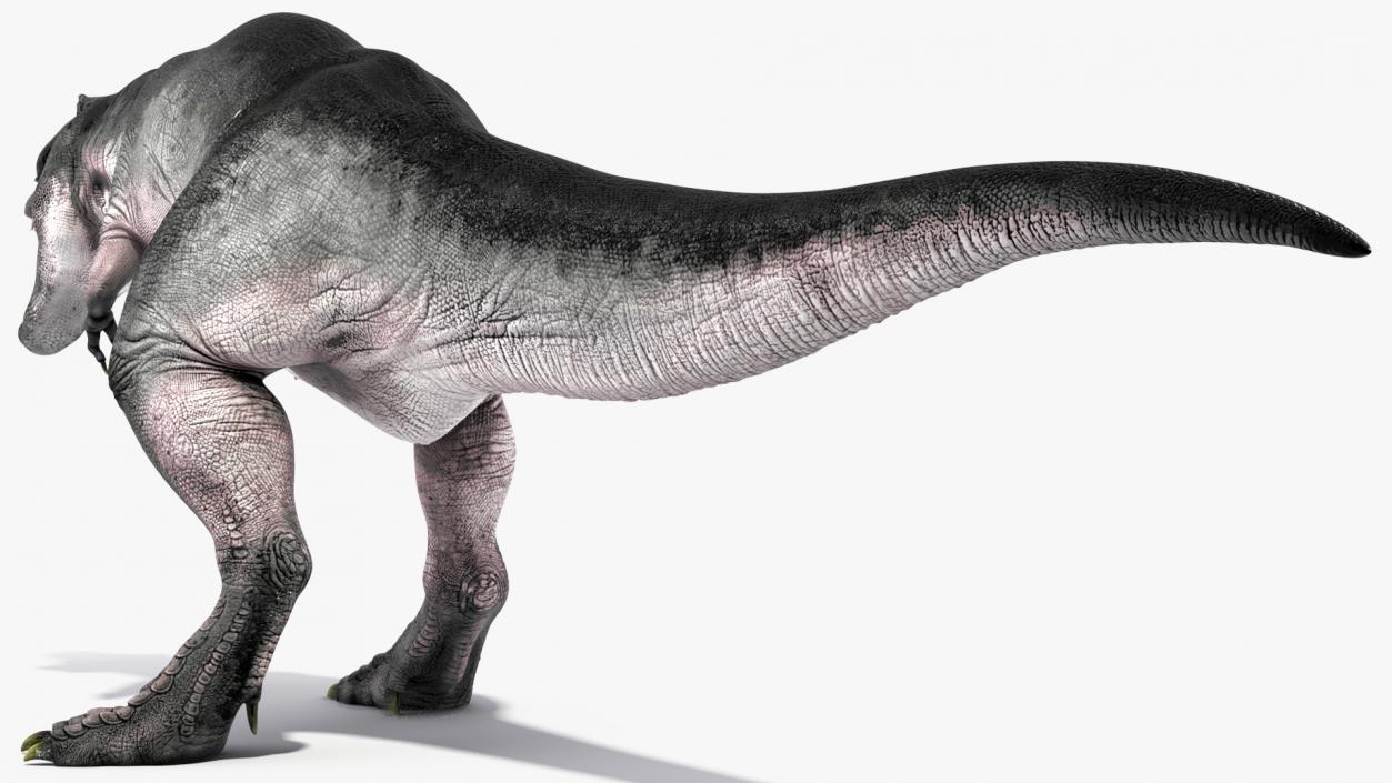 3D T Rex Rigged for Cinema 4D