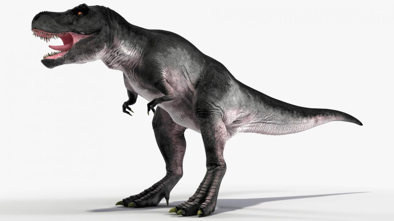 3D T Rex Rigged for Cinema 4D