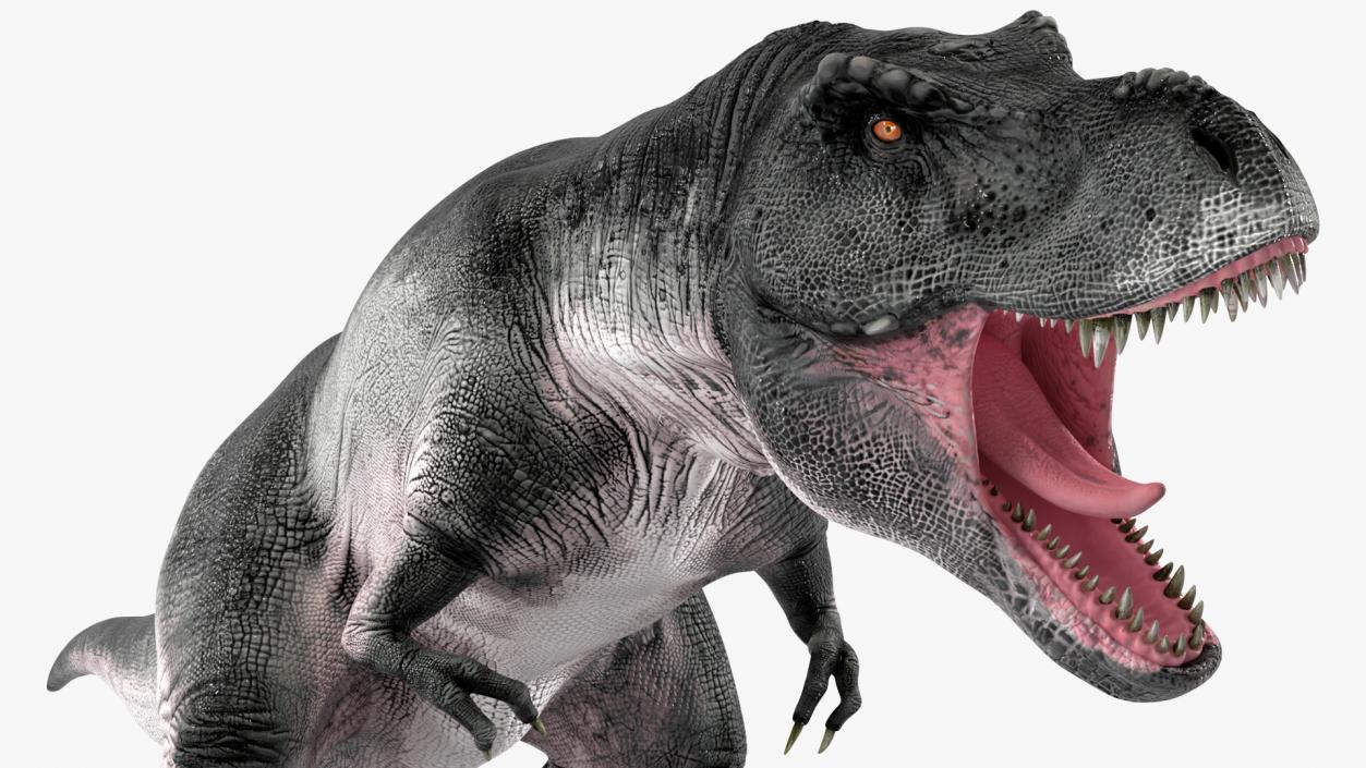 3D T Rex Rigged for Cinema 4D