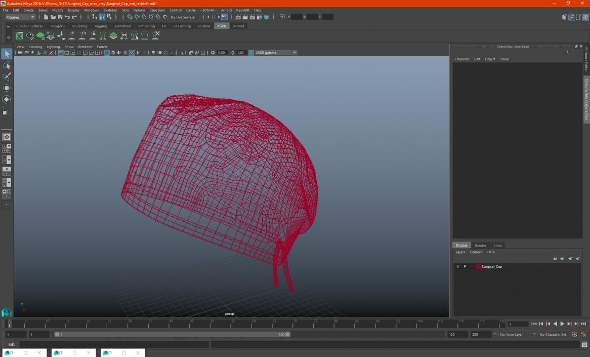 Surgical Cap 3D