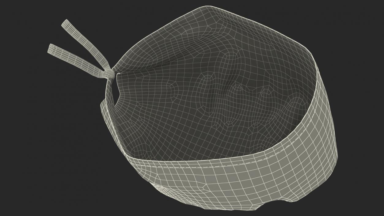 Surgical Cap 3D