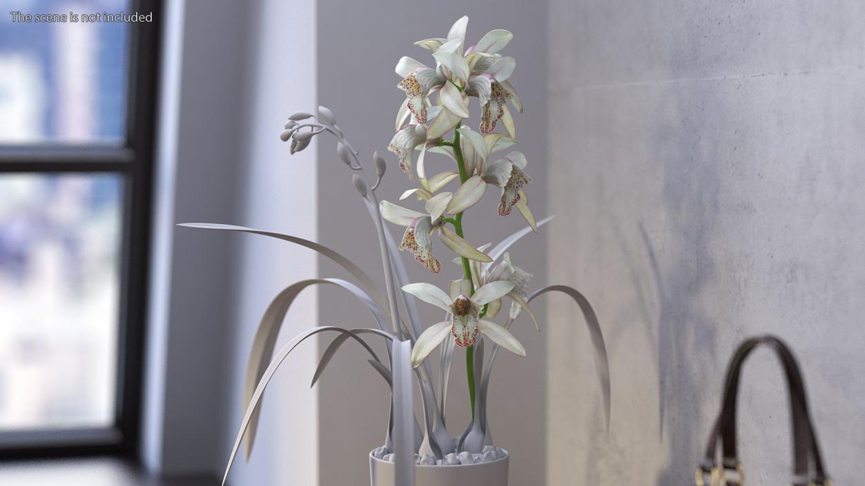 3D White Orchid Branch Fur model