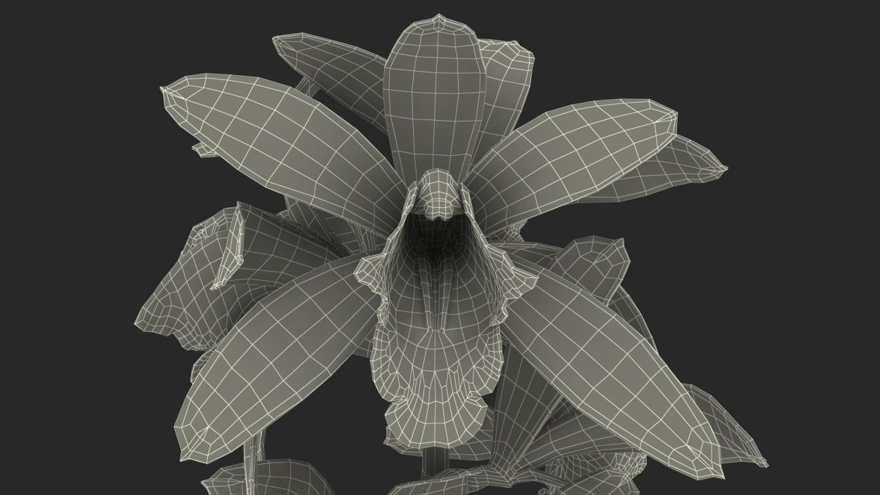 3D White Orchid Branch Fur model