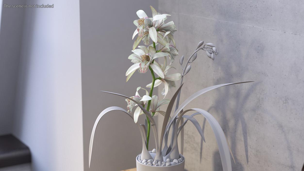 3D White Orchid Branch Fur model