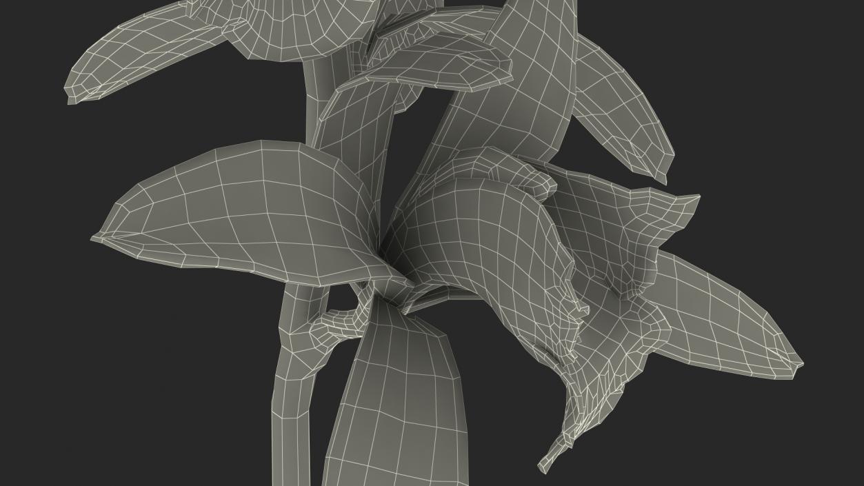 3D White Orchid Branch Fur model