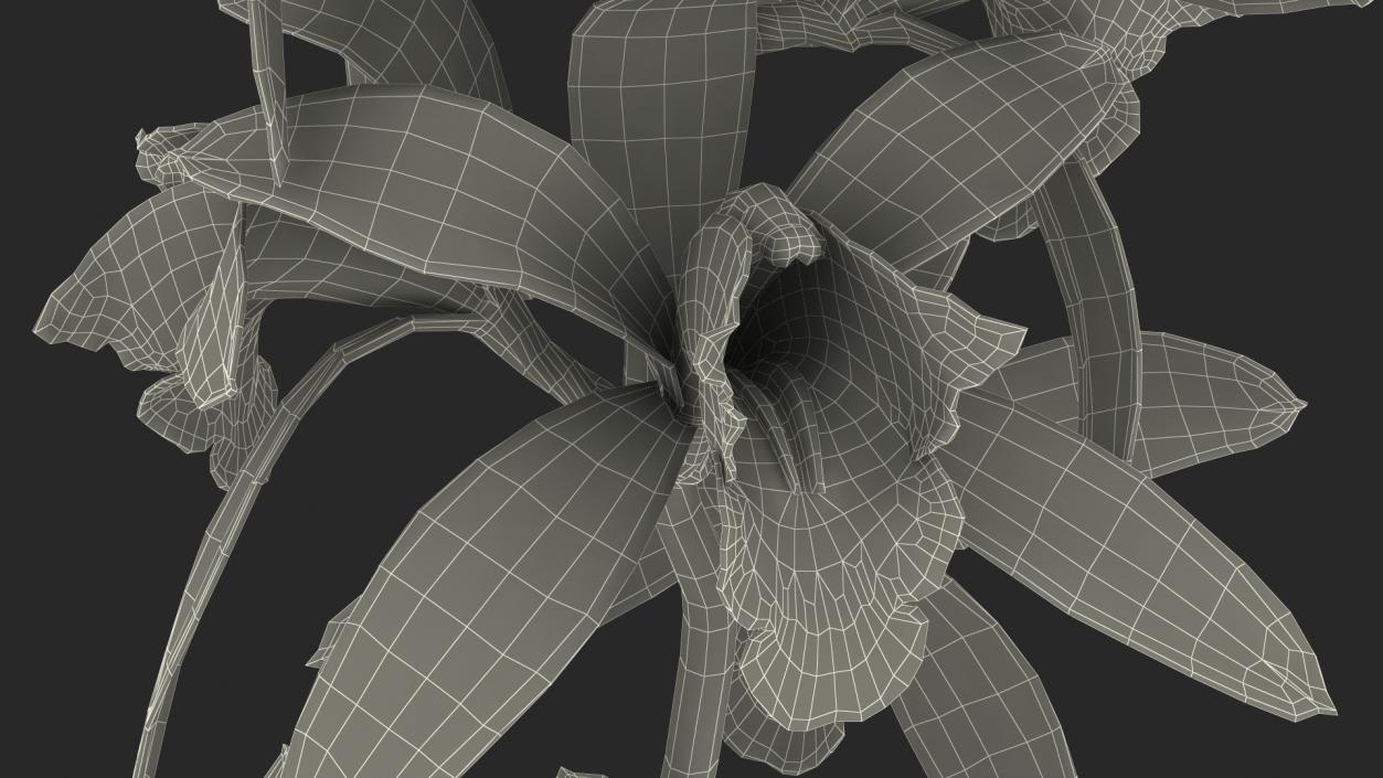 3D White Orchid Branch Fur model